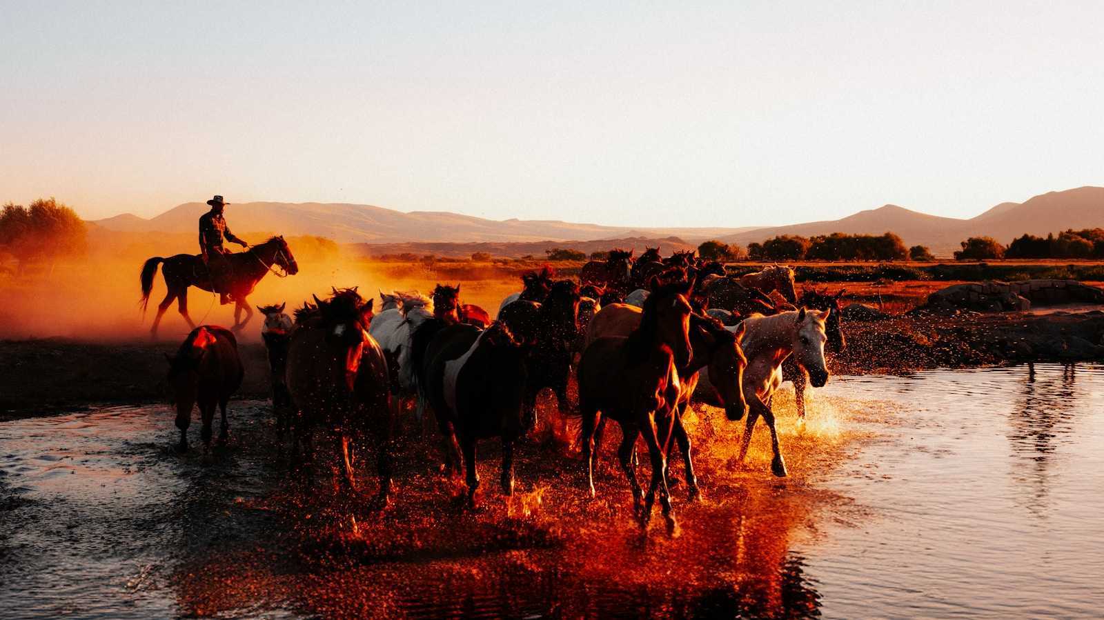 A group of people riding horses across a river