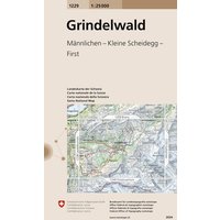 1229 Grindelwald