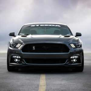 black Shelby car on road